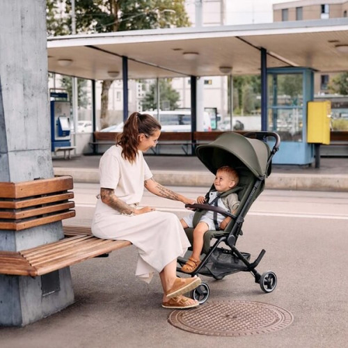 Прогулочная коляска ABC Design Ping 3 Travel Pine